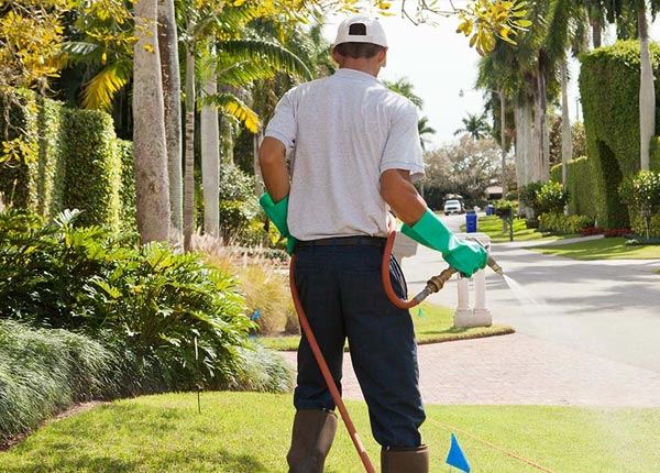 About Wesley AR Pest Control Pros